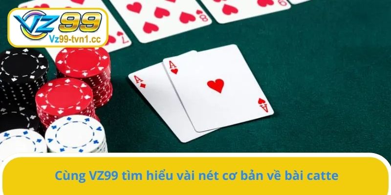 Cùng VZ99 tìm hiểu vài nét cơ bản về bài catte