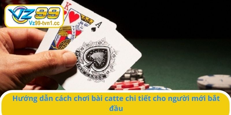 Hướng dẫn cách chơi bài catte chi tiết cho người mới bắt đầu
